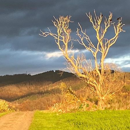 Steinberg-Blick Lejlighed Herzberg am Harz Eksteriør billede
