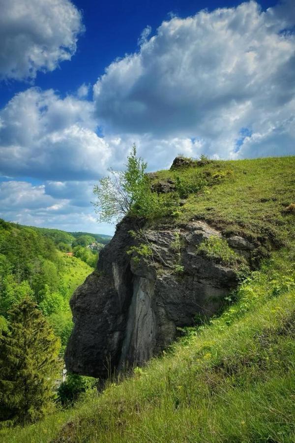 Steinberg-Blick Lejlighed Herzberg am Harz Eksteriør billede